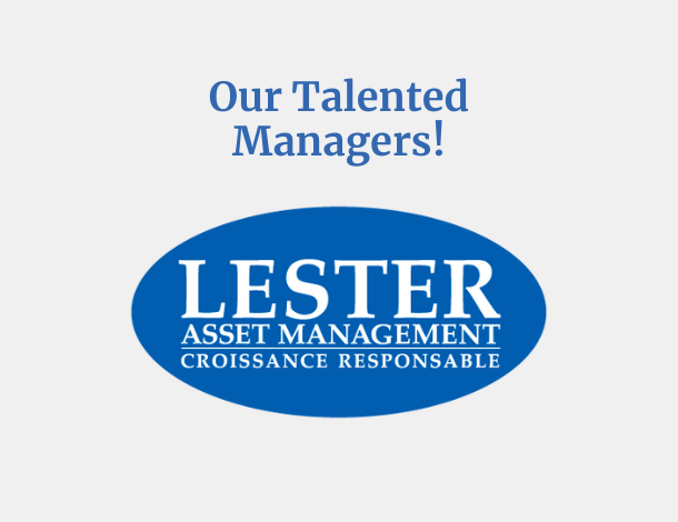 Lester Asset Management: Beyond Indices
